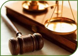 Право собственности на цех стратегического назначения признано судом за Балтзаводом